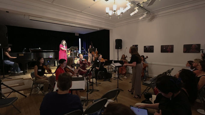 The Sky So Wide (Orchestrated by Paula Srur Carcar)